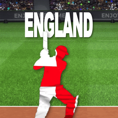 Cricket World Cup Sport GIF by RightNow