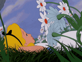 Alice In Wonderland Day Dream GIF by Disney