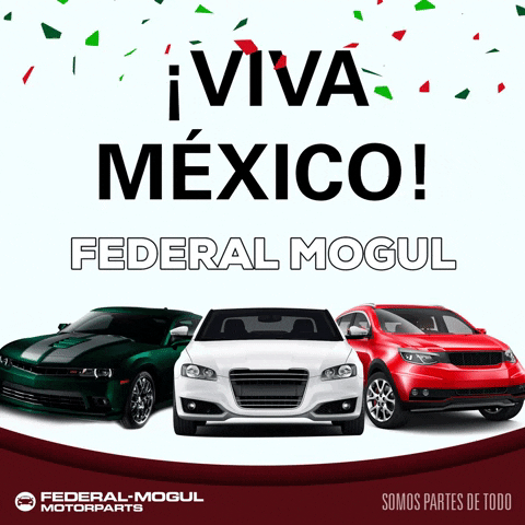 Federal Mogul GIF
