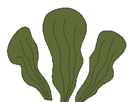 Plant Sticker