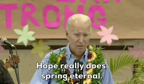 Joe Biden GIF by GIPHY News