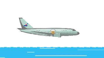 Air Cargo Airfreight Sticker by Blueray Cargo