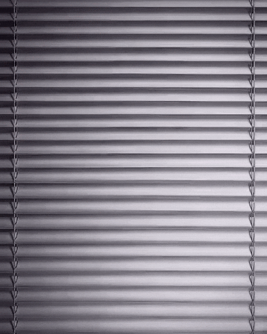 Mood Wow GIF by Rep King