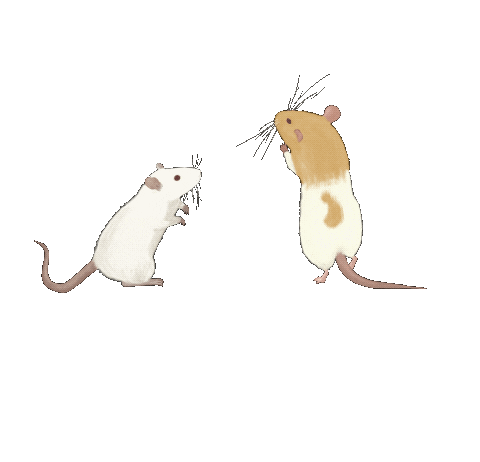 Source: Graaa.art