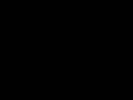Logo Bridge GIF