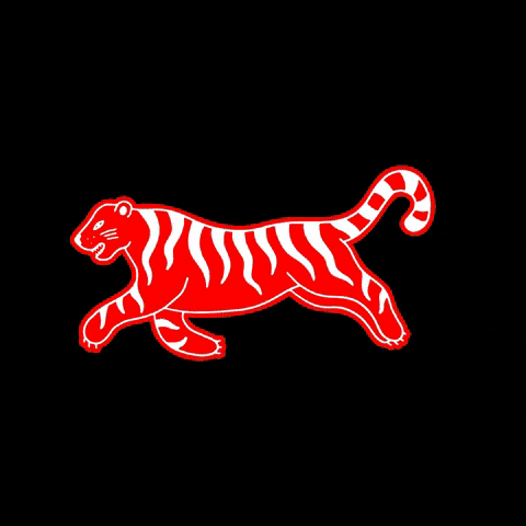 Illustration Tiger GIF by Lazer Unicorn