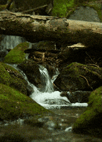 water landscape GIF by Head Like an Orange