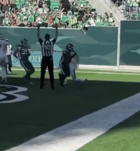 Sam Cfl GIF