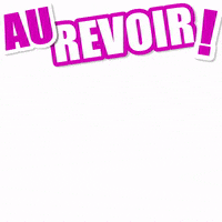 Au Revoir GIF by Titounis
