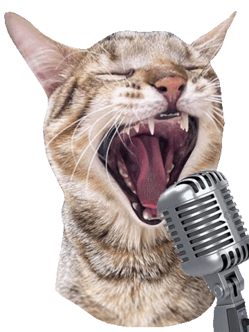 Cats Love Sticker by ogato_design