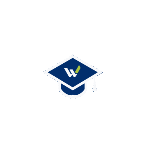 Comet Sticker by WIT