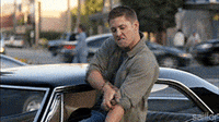 Best Eye Of The Tiger Gifs Primo Gif Latest Animated Gifs