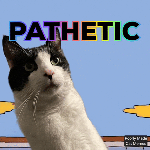 The Simpsons Cat GIF
