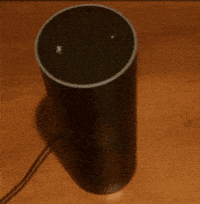 echo-assistant-controlled-UmGFsm1Xe4CjK