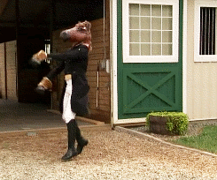 Kentucky Derby Horse Mask GIF
