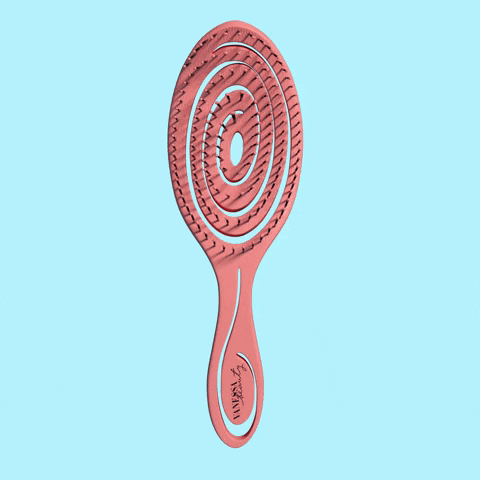 Hairbrush Detangle GIF by Vanessa Bratschi