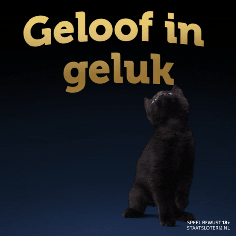 Black Cat GIF by Staatsloterij