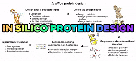 In Silico Protein Design GIF
