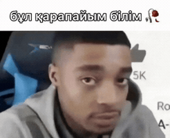 Қазақша Мемдер GIF