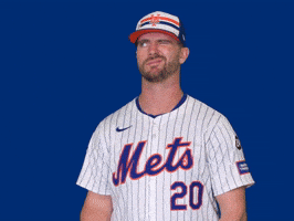 New York Mets Smh GIF by MLB
