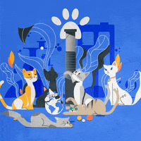 International Cat Day Animation GIF by StoryMe