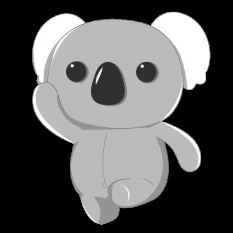 Koala GIF