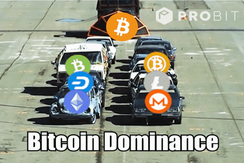 Bitcoin Crypto GIF by ProBit Exchange thumbnail