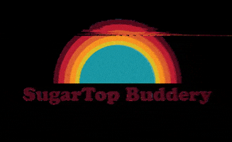 SugarTopBuddery rainbow vhs stb eugeneoregon GIF