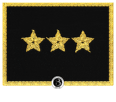 7Dan Sticker by Barreto Taekwondo