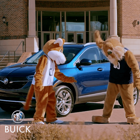 Fox Hanging GIF by Buick