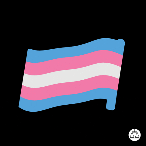 Trans Day Of Visibility Pride GIF by Southern Poverty Law Center