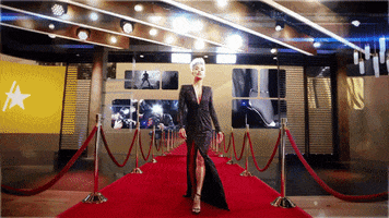 Red Carpet Celebrity GIF by Access