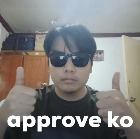 Approve Ko GIF