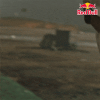 ben stokes cricket GIF by Red Bull