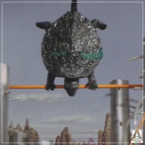 Round And Round Spinning GIF by Arrow Video