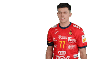 Real Federación Española de Balonmano Sticker