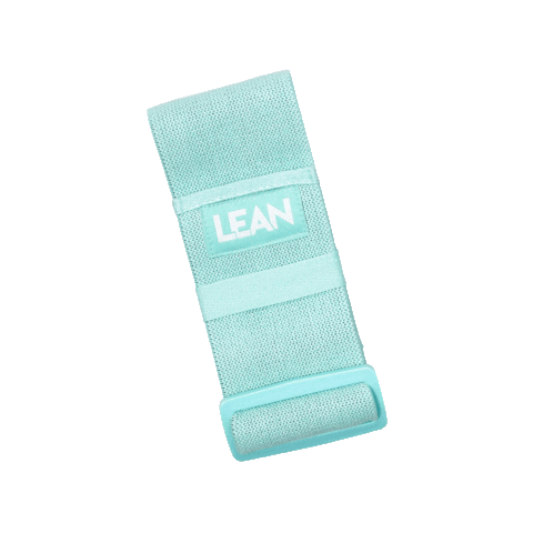 Lean with Lilly Sticker