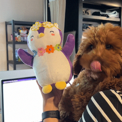Dog Love GIF by Pudgy Penguins