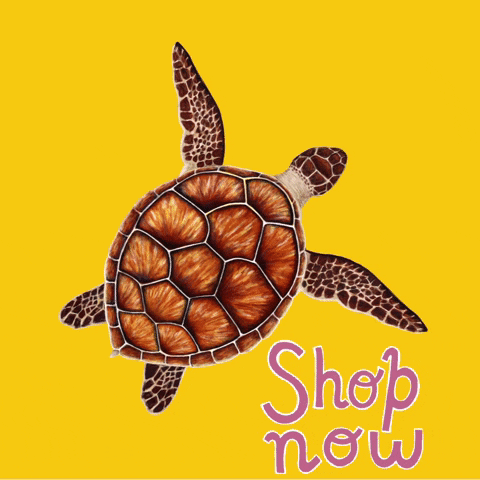 Shop Small Sea Turtle GIF by Fin Pin Shop
