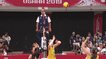 Jump Point GIF by Volleyball World