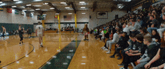 Basketball Mascot GIF by Skidmore College