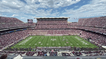 Kyle Field Spin GIF by Texas A&M University