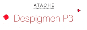 ATACHE GIF