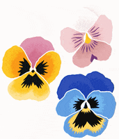 Summer Flower GIF