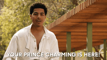 Prince Charming Yes GIF by ABC Network