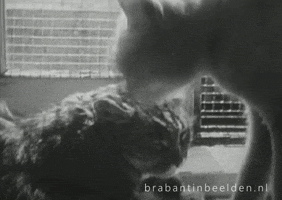 I Love You Kiss GIF by Brabant in Beelden