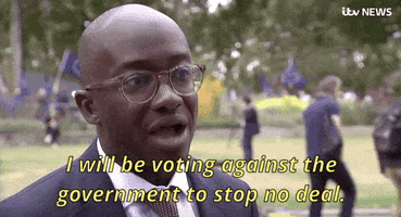 news brexit sam gyimah i will be voting against the government to stop no deal GIF