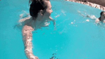 Whatever GIF