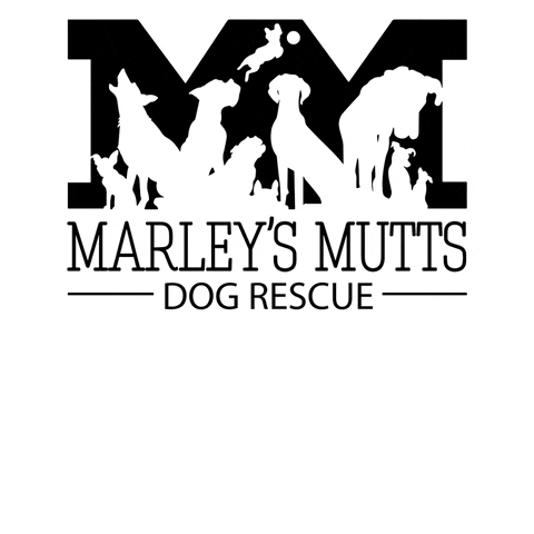Marley's Mutts Dog Rescue GIF