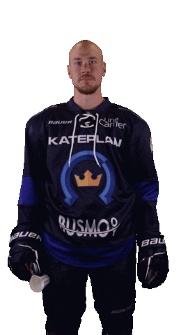 Kiekko-Espoo Sticker